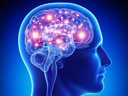 Epilepsy illustration 1