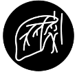 Liver Resection illustration 2